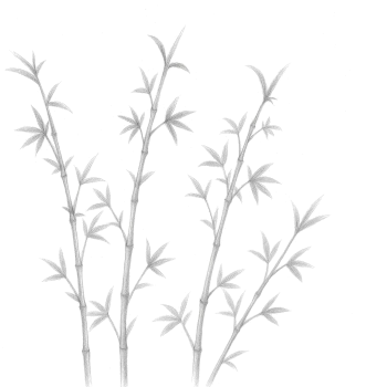 Hintergrundgrafik Asien-Stil